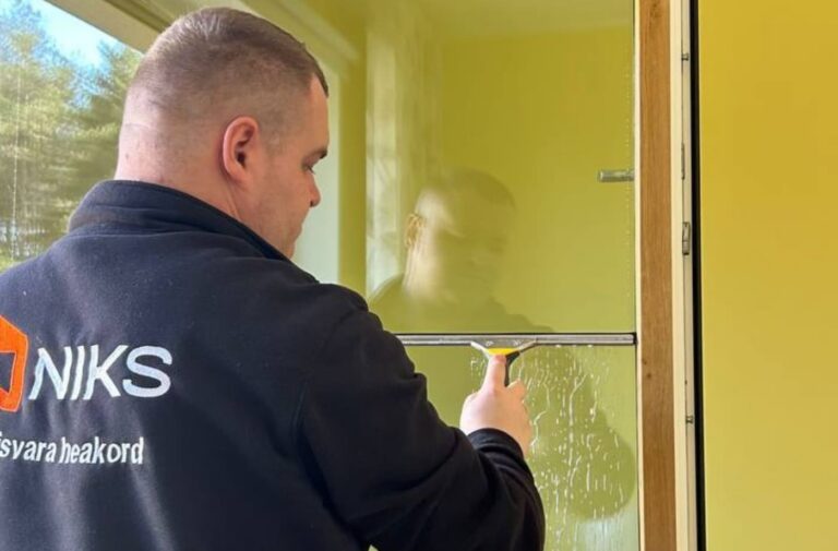 Siseakna puhastamine professionaalse NIKSi töötaja poolt