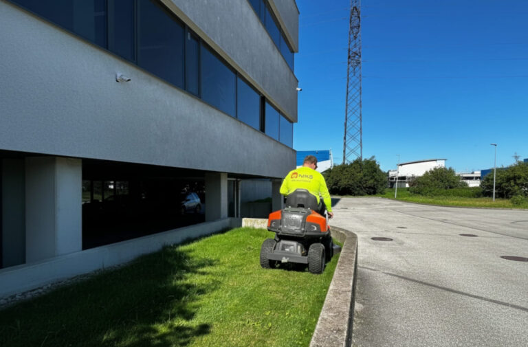 Korteriühistu haldusteenus: muru niitmine ja territooriumi hooldus