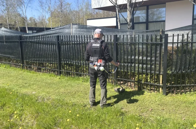 Trimmeriga käsitsi muru lõikamine aiatee ääres.